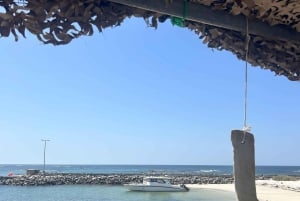 Vanuit Salalah: 2-daags avontuur op het eiland Hallaniyat