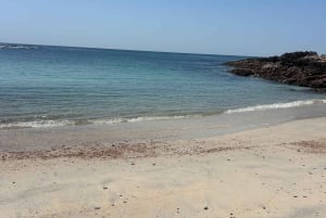 Vanuit Salalah: 2-daags avontuur op het eiland Hallaniyat