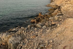 Vanuit Salalah: 2-daags avontuur op het eiland Hallaniyat