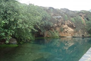 Depuis Salalah : excursion d'une journée au Wadi Ayun
