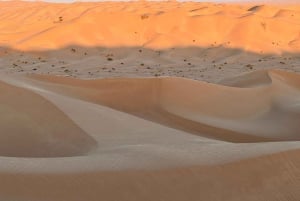 From Salalah: Desert Safari in Empty Quarter - Rub Al Khali