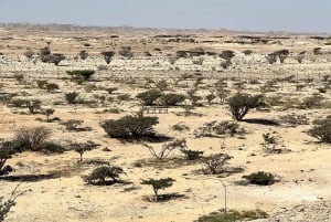 From Salalah: Desert Safari in Empty Quarter - Rub Al Khali