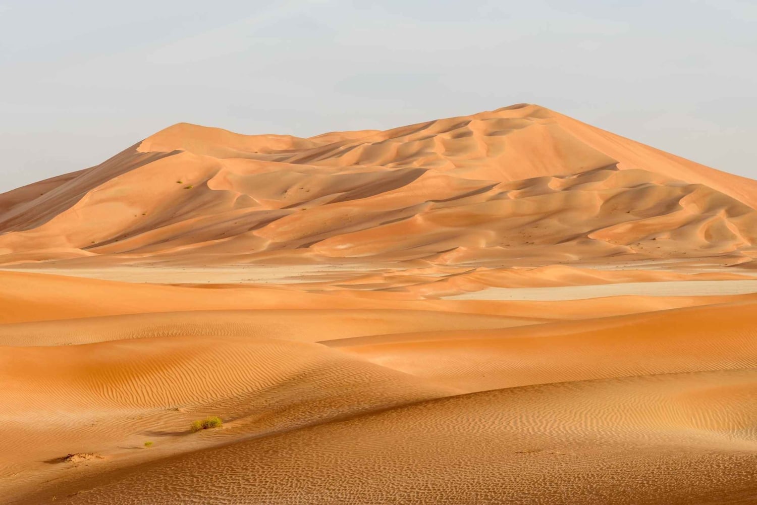 من صلالة المدينة المفقودة (رحلة يوم كامل إلى الربع الخالي)