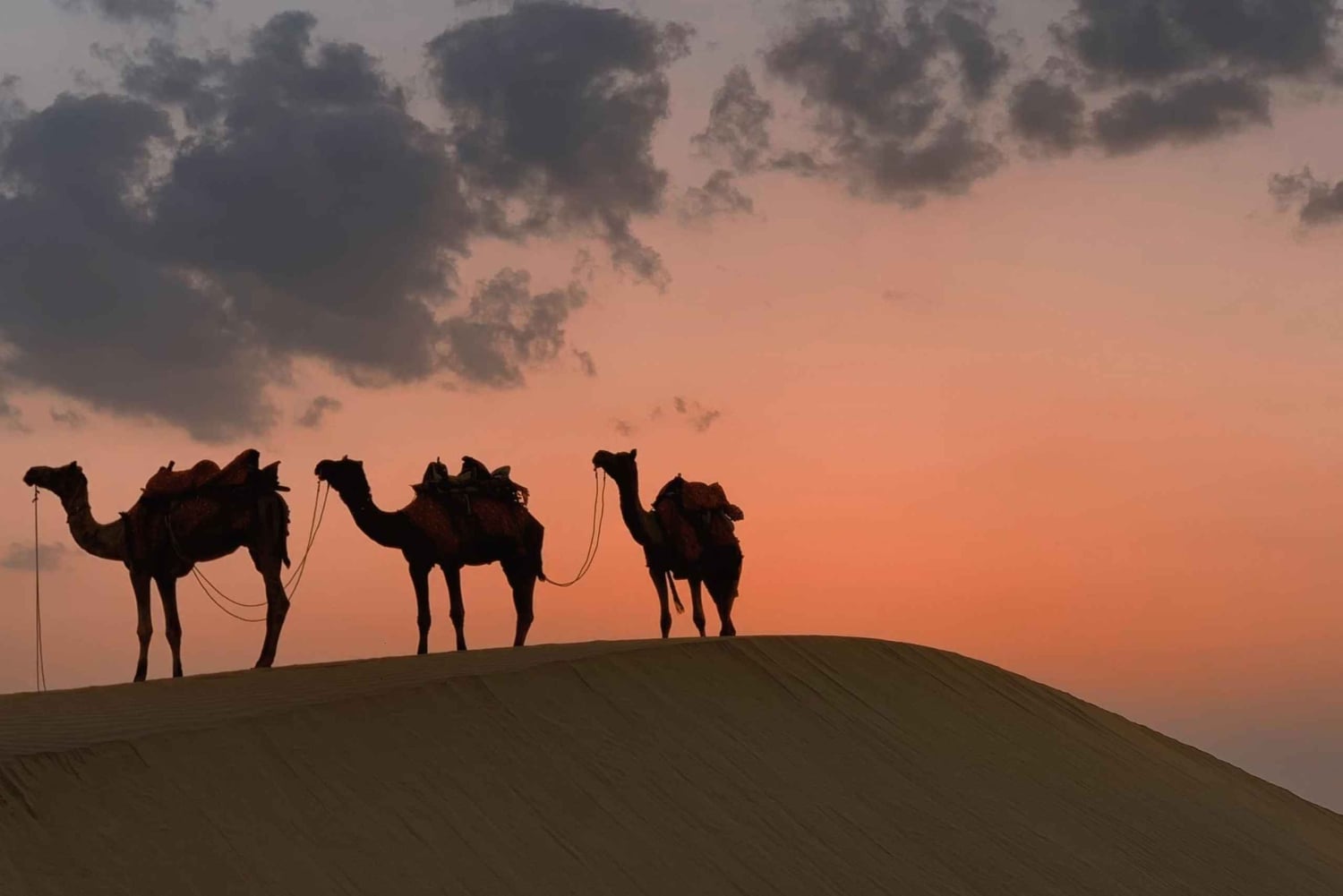 من صلالة المدينة المفقودة (رحلة يوم كامل إلى الربع الخالي)