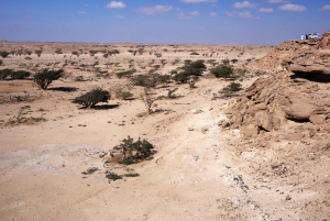 من صلالة المدينة المفقودة (رحلة يوم كامل إلى الربع الخالي)