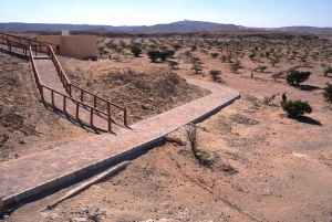 من صلالة المدينة المفقودة (رحلة يوم كامل إلى الربع الخالي)