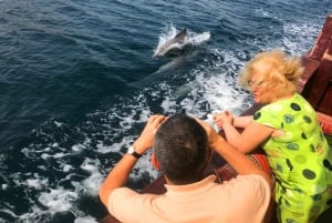 From Dubai-RAK: Khasab Cruise -Dolphin Watching & Snorkeling