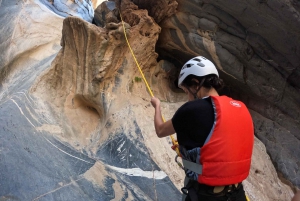Full Day Adventure Tour through Snake Canyon (Jebel Shams)