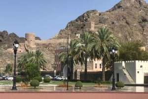 Half day budget friendly Muscat City Tour