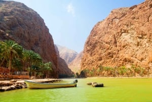 Full-Day Coastal Delights Tour from Muscat
