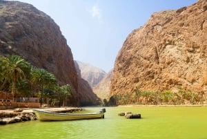 Full-Day Coastal Delights Tour from Muscat