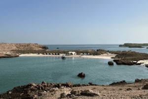 Full Day Damaniyat Island Experience with Beach Barbecue