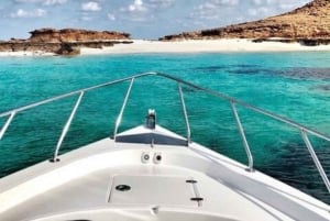 Muscat: Wycieczka na wyspę Dimaniyat z nurkowaniem z rurką