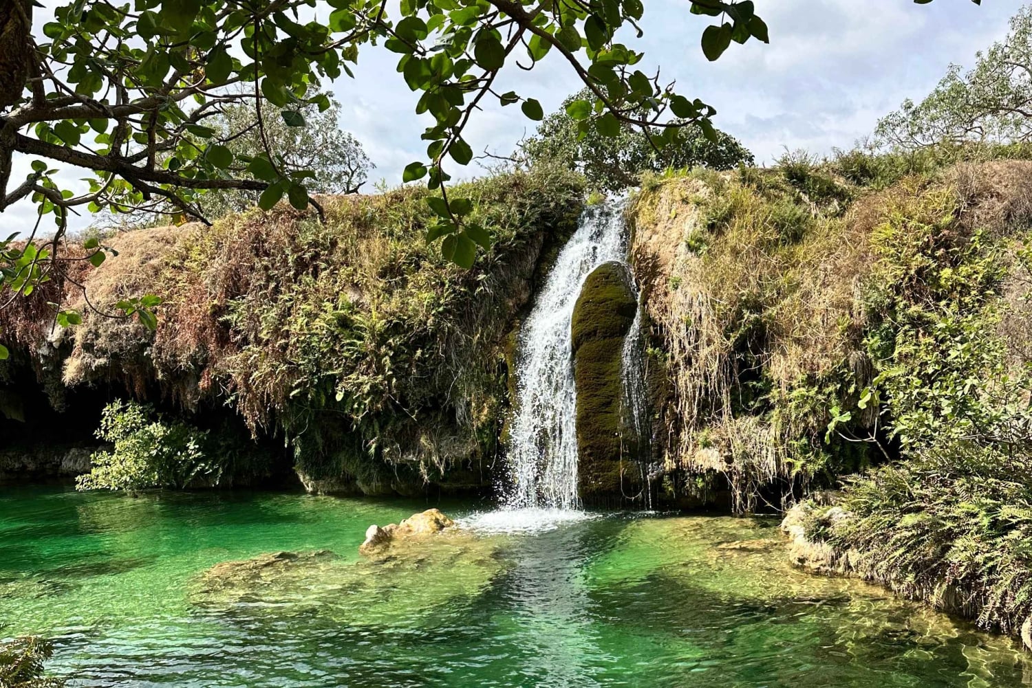 تجربة خريف ليوم كامل: وادي دربات وجبال صلالة