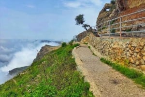 تجربة خريف ليوم كامل: وادي دربات وجبال صلالة