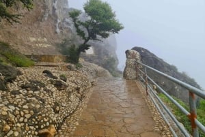 تجربة خريف ليوم كامل: وادي دربات وجبال صلالة