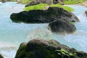 تجربة خريف ليوم كامل: وادي دربات وجبال صلالة