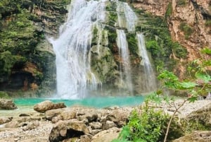 تجربة خريف ليوم كامل: وادي دربات وجبال صلالة