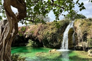 تجربة خريف ليوم كامل: وادي دربات وجبال صلالة