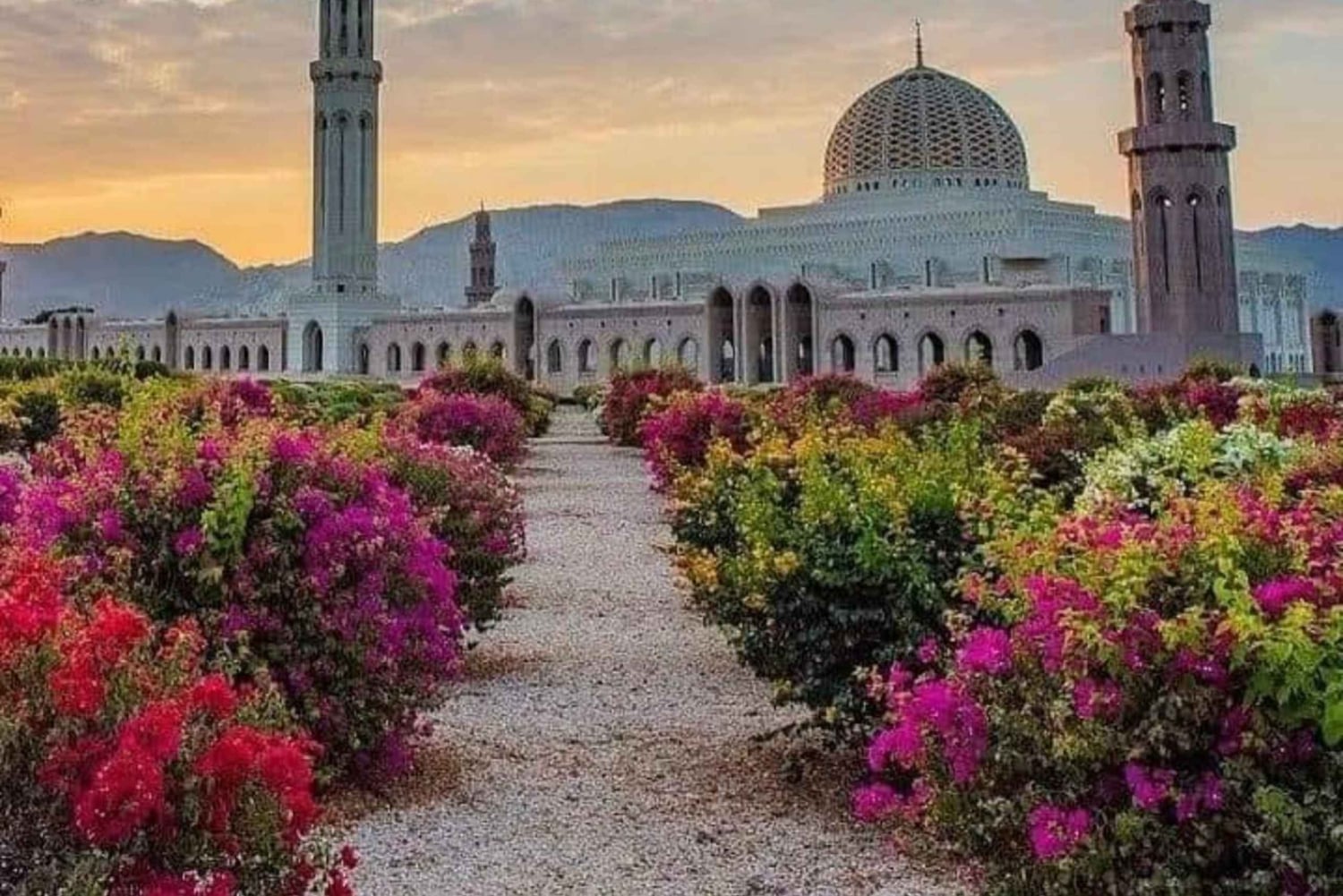 جولة تراثية في مسقط لمدة يوم كامل: المسجد والسوق والقصر والأوبرا