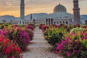 جولة تراثية في مسقط لمدة يوم كامل: المسجد والسوق والقصر والأوبرا