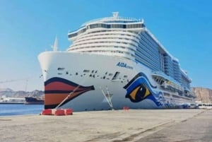 جولة تراثية في مسقط لمدة يوم كامل: المسجد والسوق والقصر والأوبرا