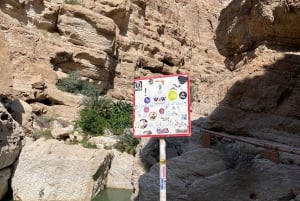Muscat: Tour di un giorno intero di Wadi Shab e Bimmah Sinkhole con pranzo