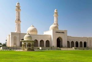 Tour di un giorno intero della città di Salalah