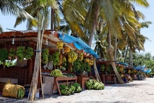 Tour di un giorno intero della città di Salalah