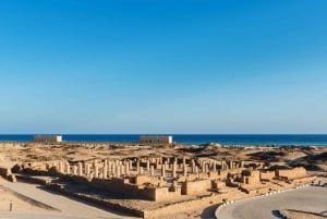 Tour di un giorno intero della città di Salalah