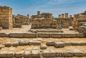 Tour di un giorno intero della città di Salalah