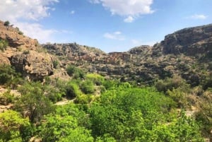 Vanuit Muscat: Hele dag naar Nizwa-Jabal Akhdar-Birkat Al Moz