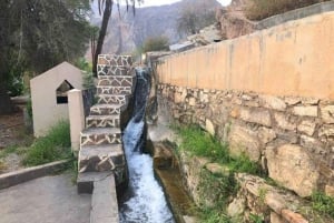 Vanuit Muscat: Hele dag naar Nizwa-Jabal Akhdar-Birkat Al Moz