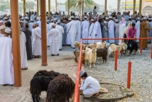 Von Muscat: Ganztägig nach Nizwa-Misfat Al Abriyeen-Al Hamra