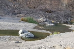 Ganztägiger Ausflug zum Wadi Abyadh-Wekan Dorf-Nakhal Fort-Hot Spring