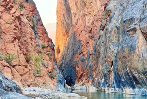 Heldagstur til Wadi Bani Awf-Balad Sayt-Nakhal Fort-Hot Spring