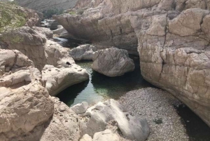 Von Muscat: Ganztägiger Ausflug nach Wahiba Sands-Wadi Bani Khalid