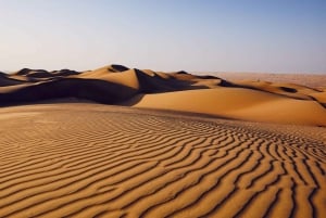 Von Muscat: Ganztägiger Ausflug nach Wahiba Sands-Wadi Bani Khalid