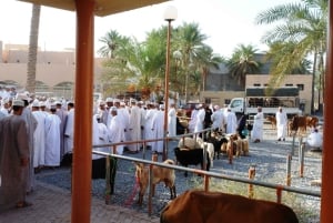 Dagvullende tour in Oman: Betoverende forten van Nizwa en Jabreen