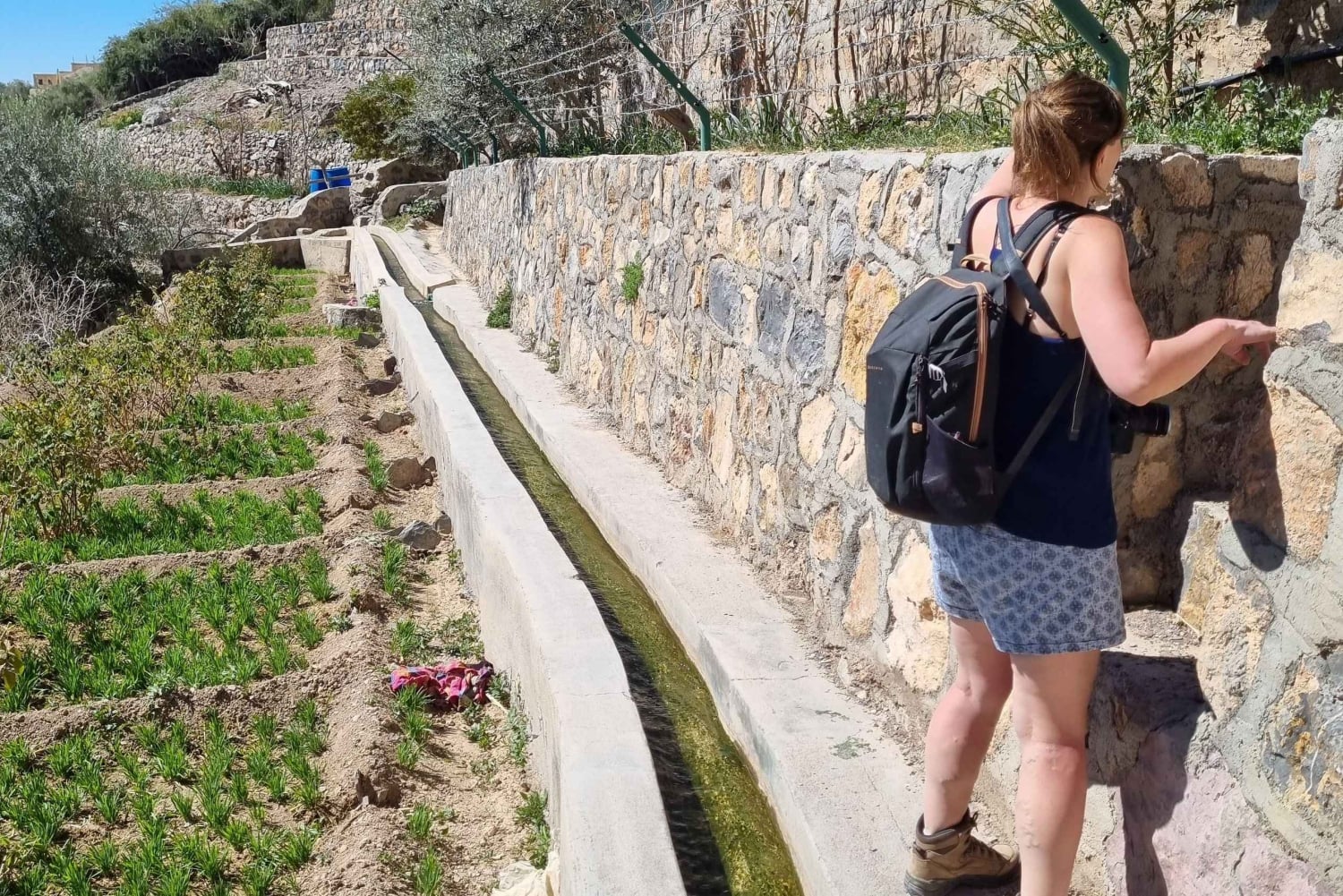 رحلة ليوم كامل في الجبل الأخضر مع نزهة خفيفة