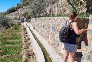 full-day trip in Jabal Akhdar with a light hike