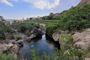 heldagsutflykt i Jabal Akhdar med lätt vandring