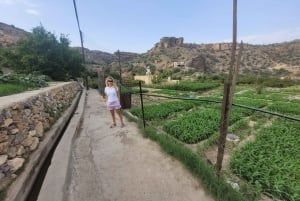 excursion d'une journée dans le Jabal Akhdar avec une petite randonnée