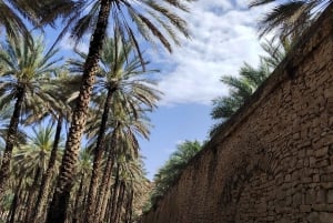 excursion d'une journée dans le Jabal Akhdar avec une petite randonnée