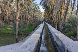 excursión de día completo en Jabal Akhdar con una ligera caminata