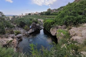 رحلة ليوم كامل في الجبل الأخضر مع نزهة خفيفة