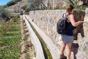 رحلة ليوم كامل في الجبل الأخضر مع نزهة خفيفة