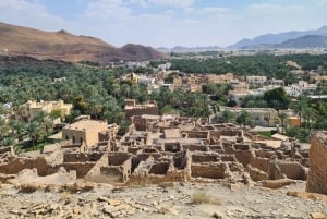 رحلة ليوم كامل في الجبل الأخضر مع نزهة خفيفة