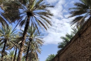 رحلة ليوم كامل في الجبل الأخضر مع نزهة خفيفة