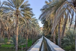 رحلة ليوم كامل في الجبل الأخضر مع نزهة خفيفة